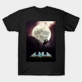 STONES FROM THE SKY T-Shirt